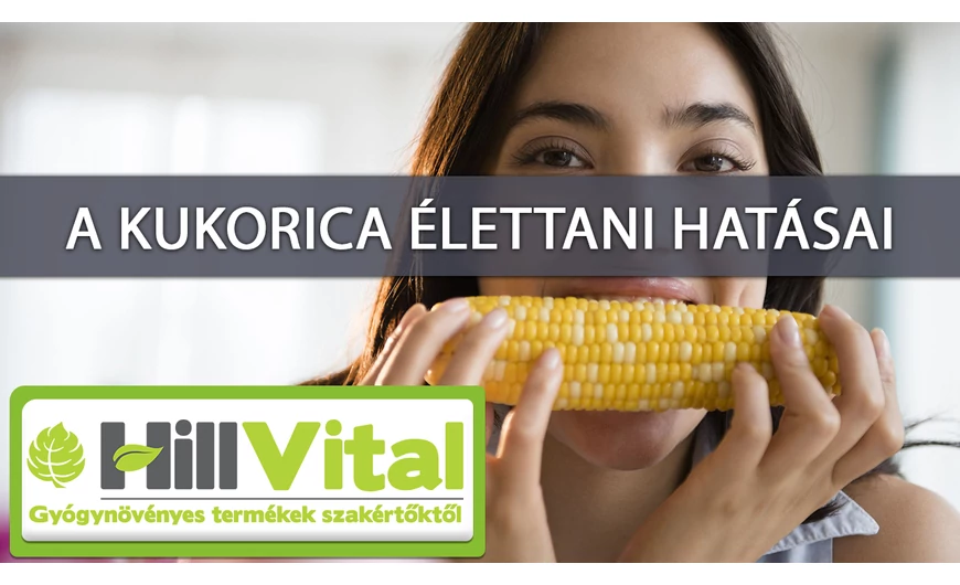 A kukorica csodás hatásai