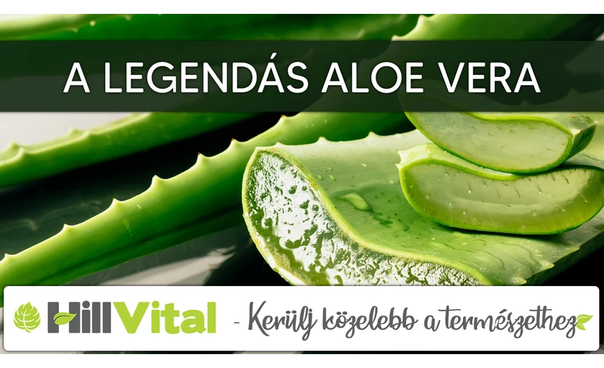 A legendás aloe vera története