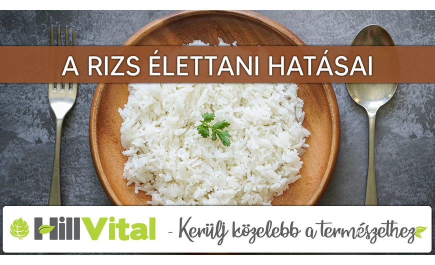 A rizs élettani hatásai