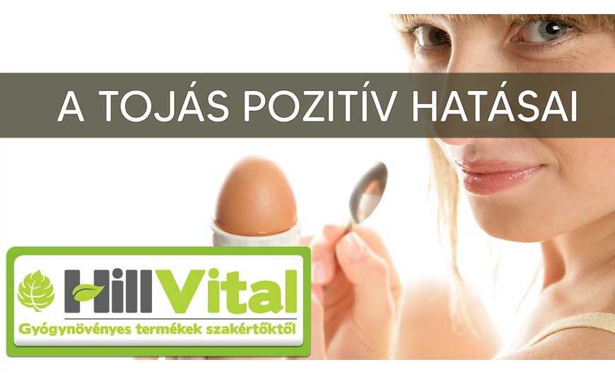 A tojás élettani hatásai