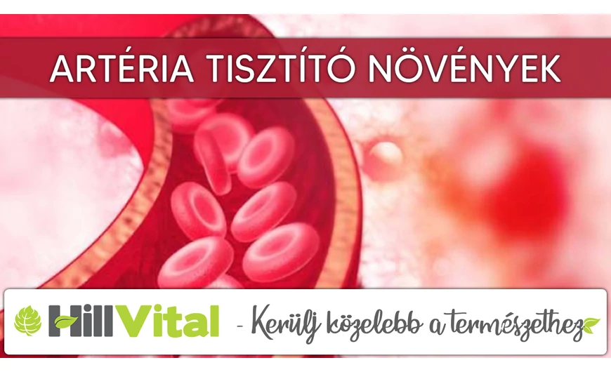 Természetes artéria tisztító növények