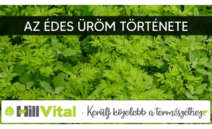 Az édes üröm története