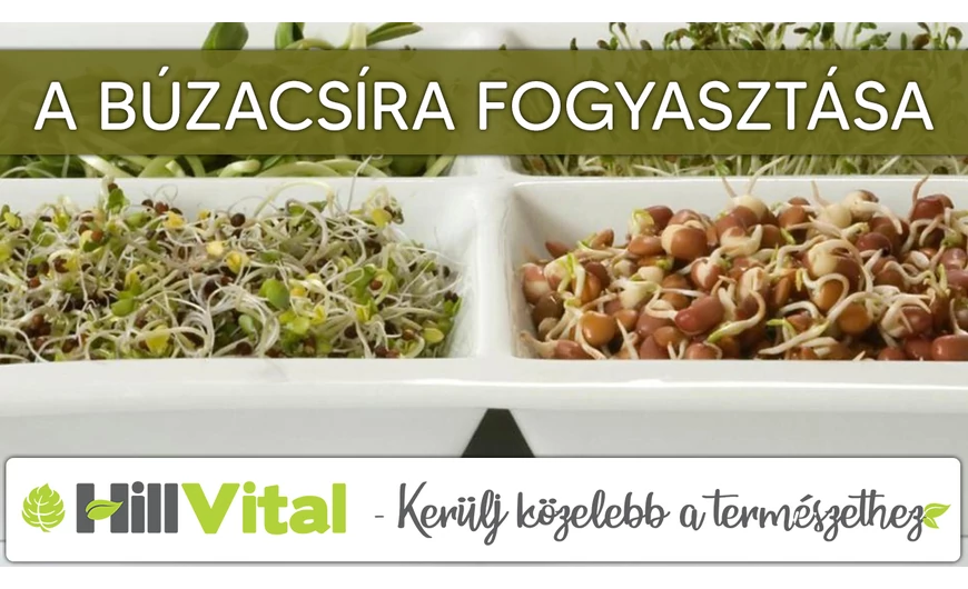 Érdemes búzacsírát fogyasztani!