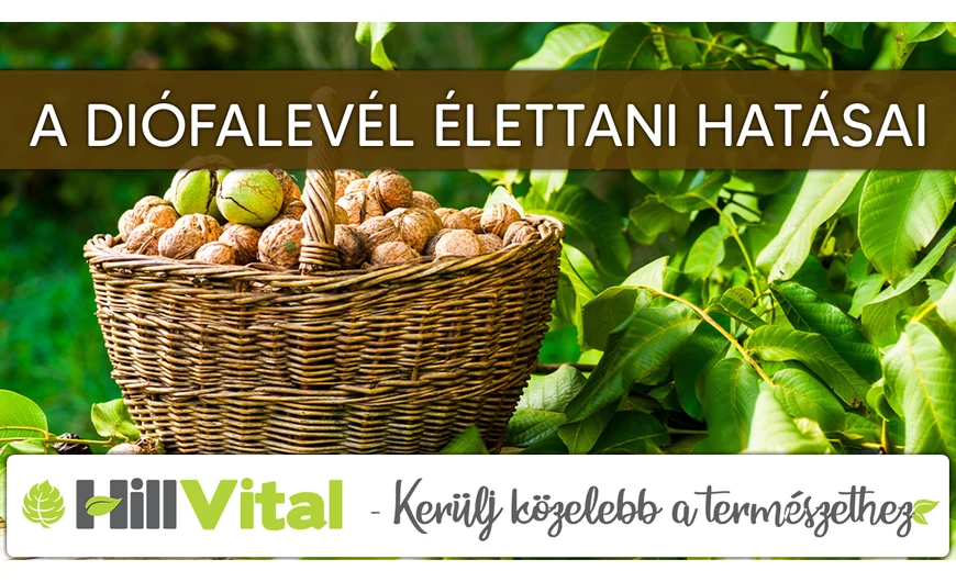 A diófalevél élettani hatásai