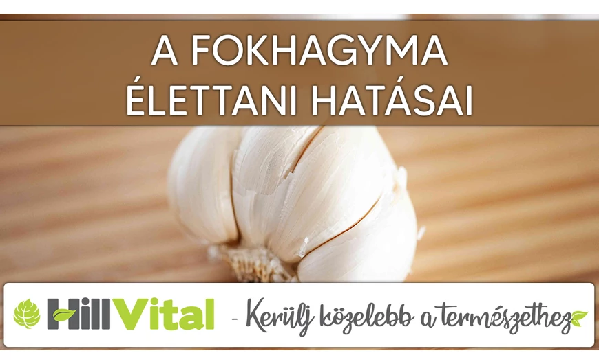 A fokhagyma csodás hatásai