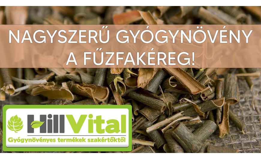 A fűzfakéreg gyógyhatásai