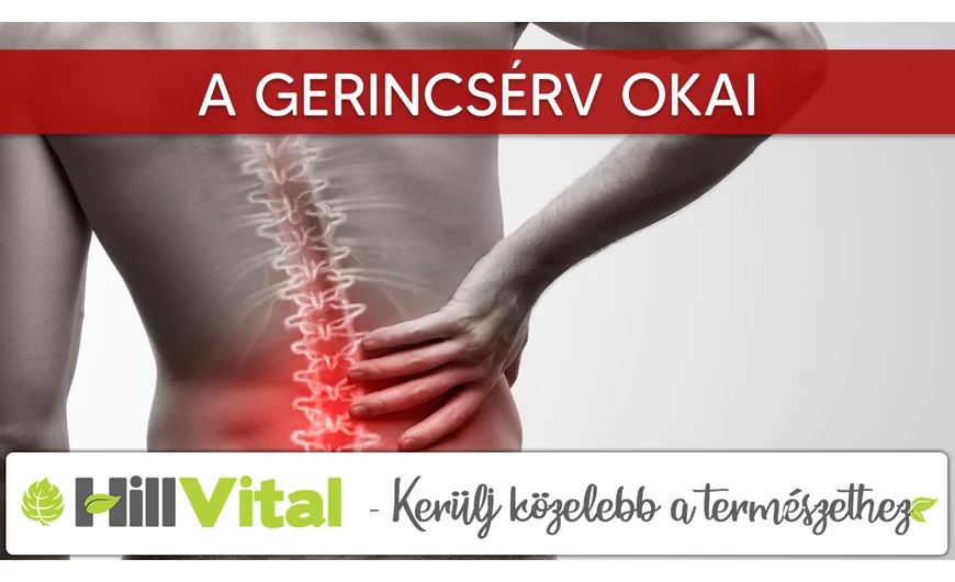 A gerincsérv gyakori okai