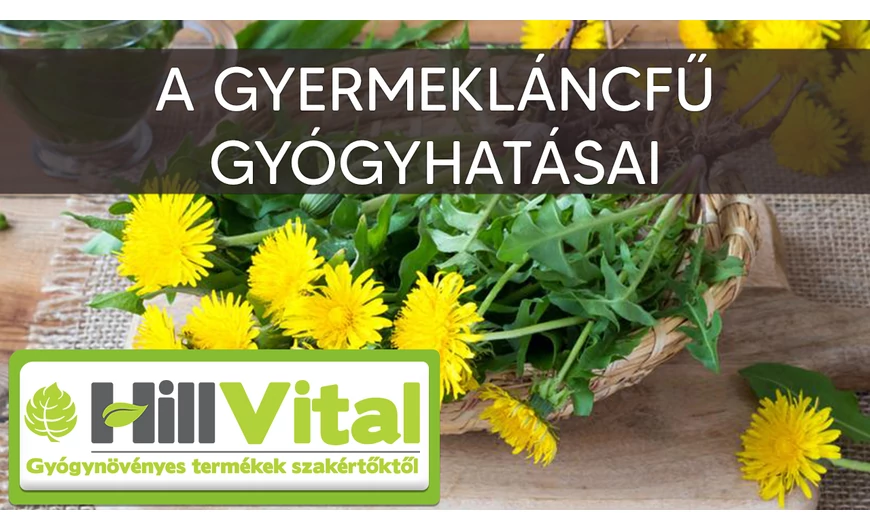 A gyermekláncfű csodás hatásai
