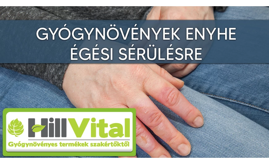 Gyógynövények enyhe égési sérülésre