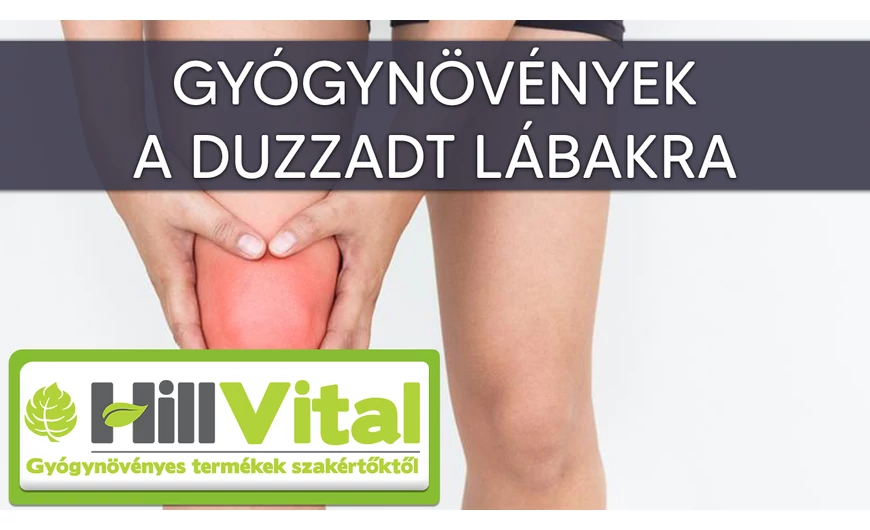 Gyógynövények a duzzadt lábakra