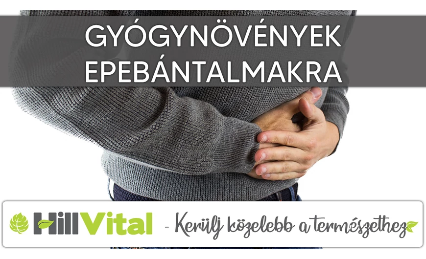 Gyógynövények epeproblémákra!