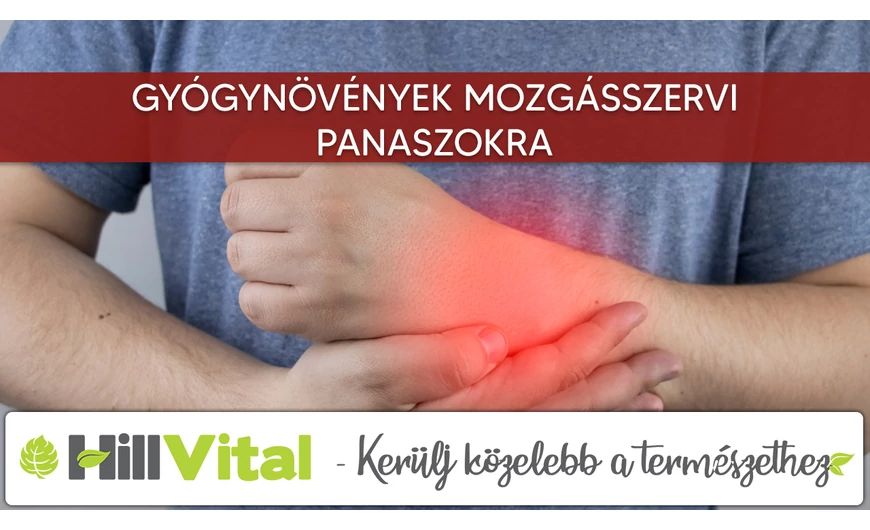 Gyógynövények mozgásszervi problémákra