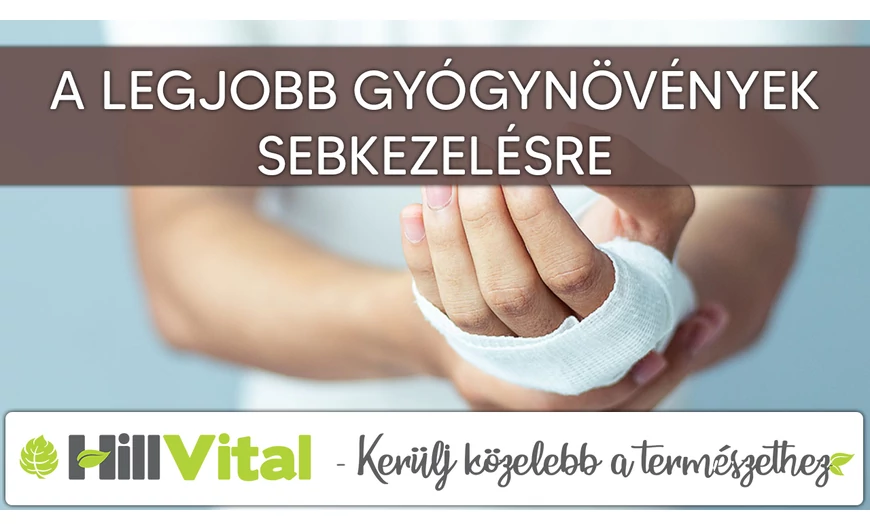 A legjobb gyógynövények sebkezelésre