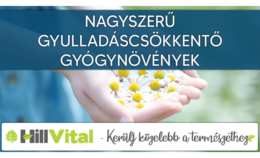 Nagyszerű gyulladáscsökkentő gyógynövények