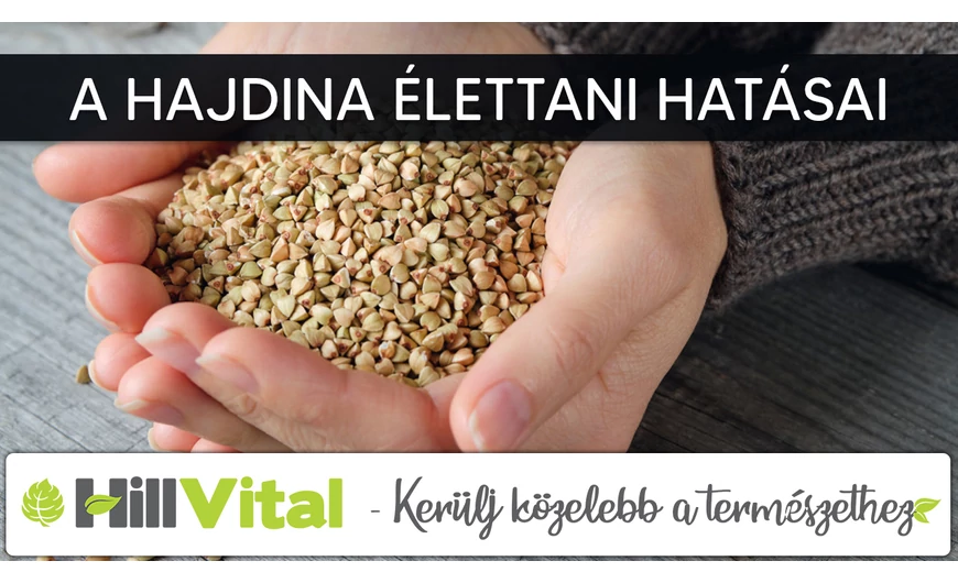 A hajdina élettani hatásai