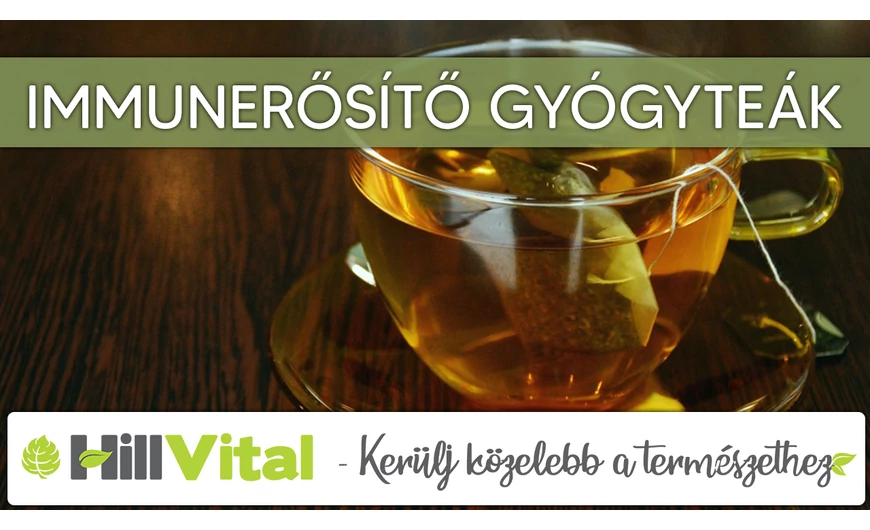 Nagyszerű immunerősítő gyógyteák