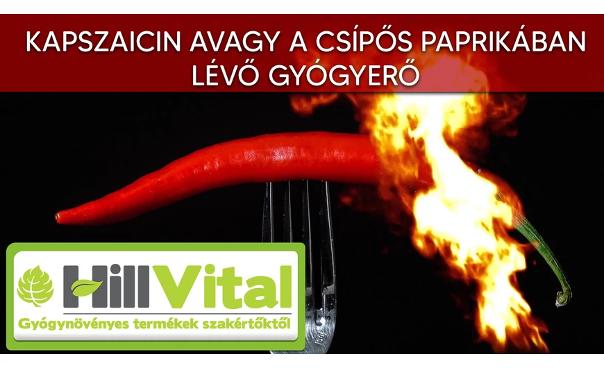 Kapszaicin avagy a csípős paprikában lévő gyógyerő