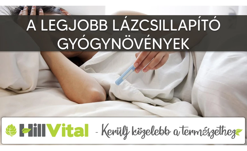 A legjobb lázcsillapító gyógynövények