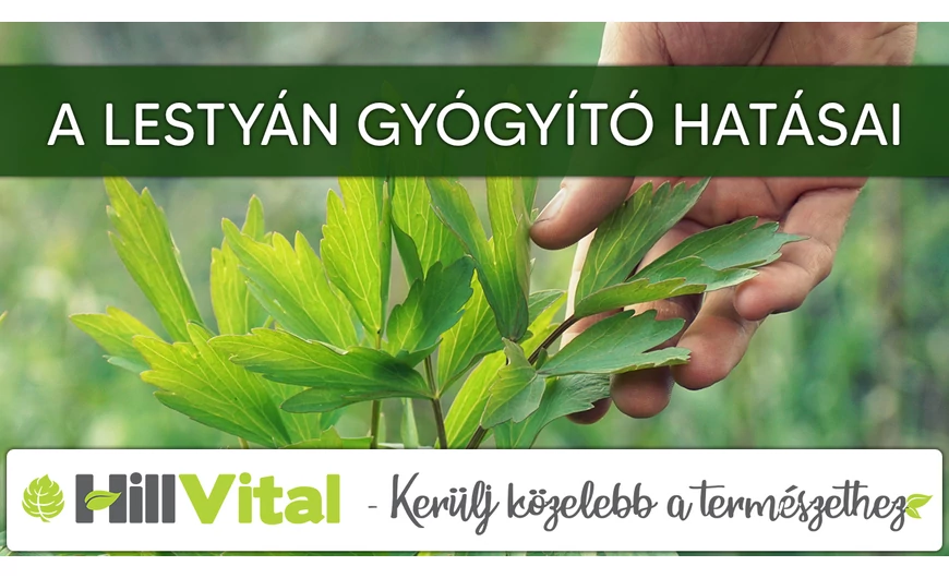 A lestyán gyógyító hatásai