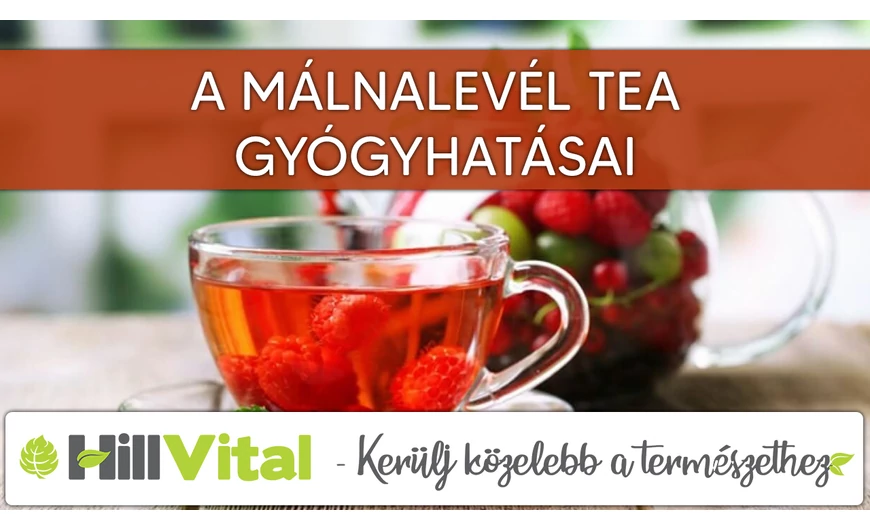 A málnalevél tea gyógyhatásai