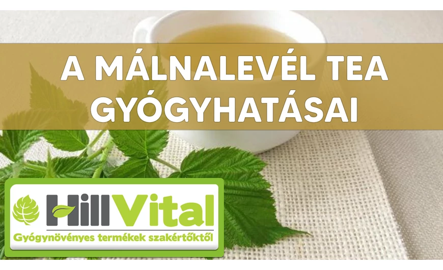 A málnalevél tea hatásai