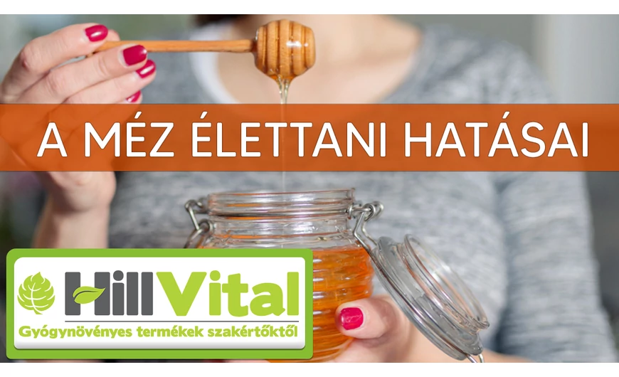 Ajánlott rendszeresen mézet fogyasztani!