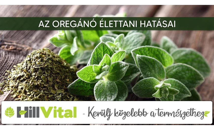 Az oregánó élettani hatásai