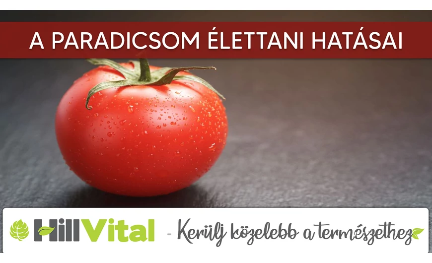 A paradicsom élettani hatásai