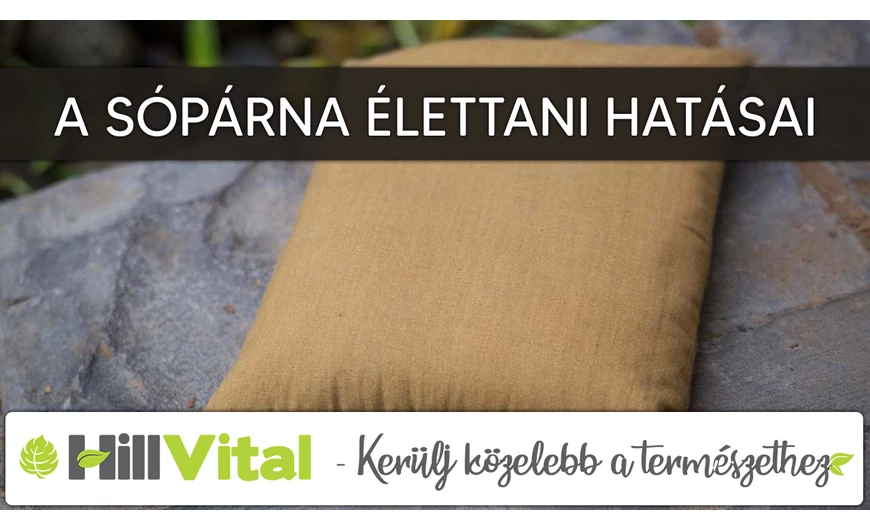 A sópárna élettani hatásai