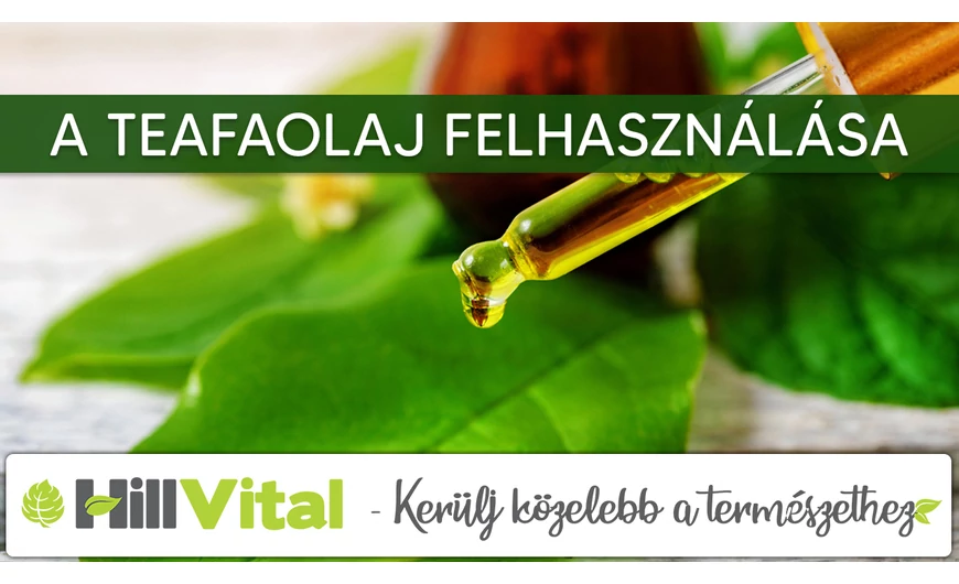 A teafaolaj felhasználása