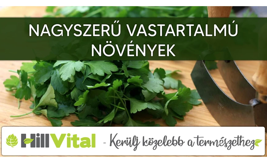 Magas vastartalmú növények