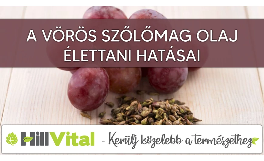 A vörös szőlőmag olaj hatásai