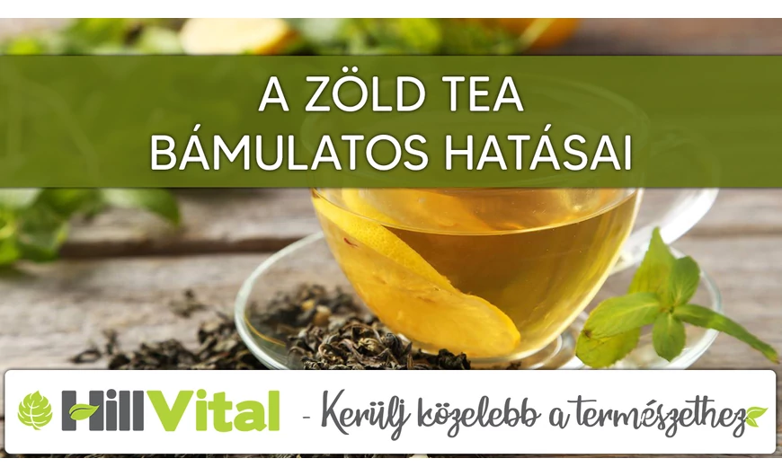 A zöld tea bámulatos hatásai