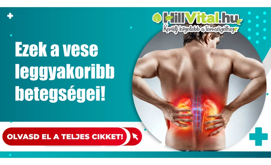A vese leggyakoribb betegségei