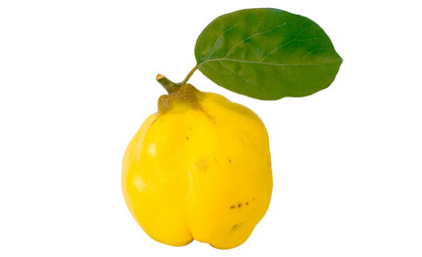 Birsalma, a gyomor nyugtatója