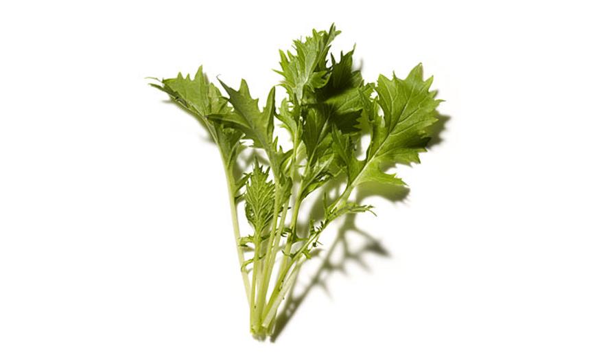 A mizuna