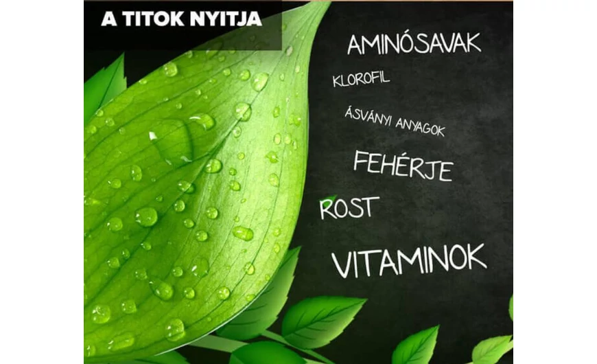Megújult a Zöldvital oldala!